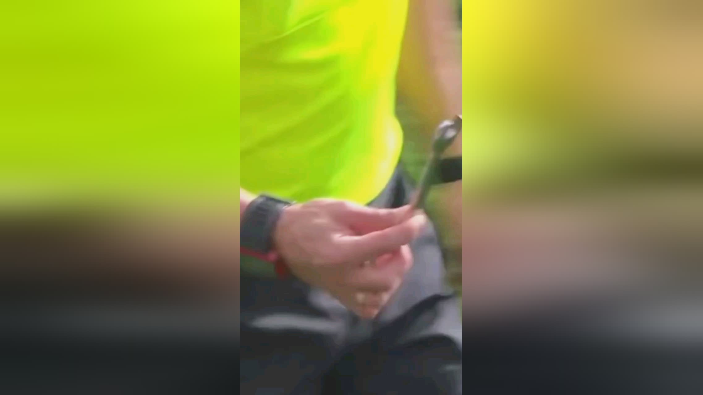 赛核